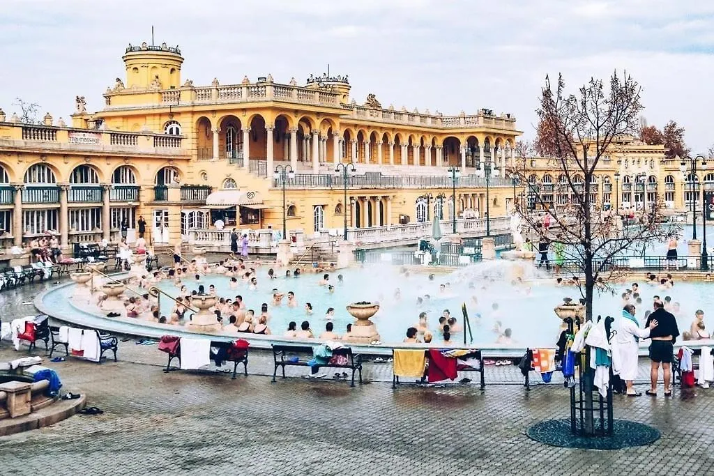 Wellness Wonderland Garden, Sauna, Jacuzzi In Cbd Budapest 0*,